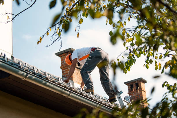 Best Metal Roofing Contractor  in Carbondale, PA